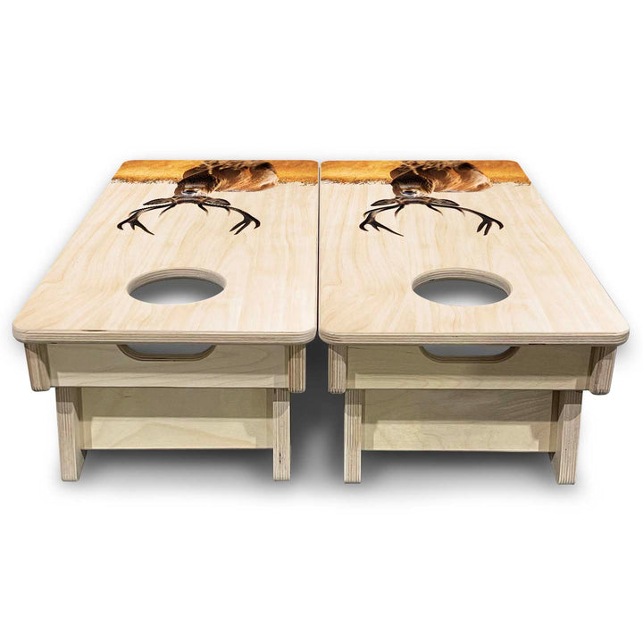Mini Cornhole Boards - Natural Deer & Fish